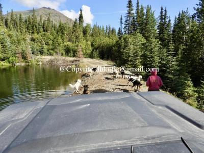 ww2024-08-23_10-55-53_617