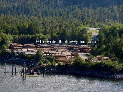 ww2024-08-23_11-22-49_685