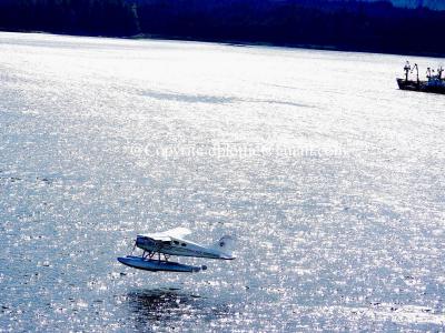 ww2024-08-23_11-30-08_412