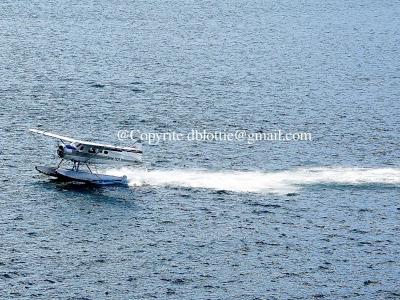 ww2024-08-23_11-30-57_874