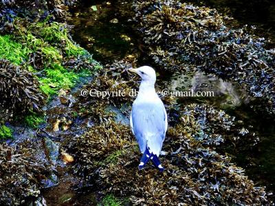 ww2024-08-23_11-35-08_511