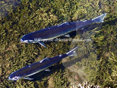 ww2024-08-23_11-36-25_168