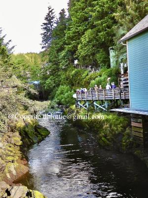 ww2024-08-23_11-38-10_868