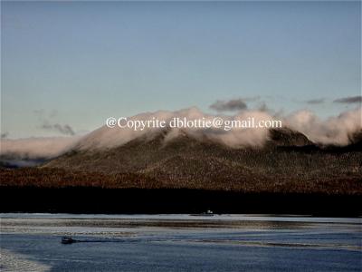 ww2024-08-23_11-41-17_140