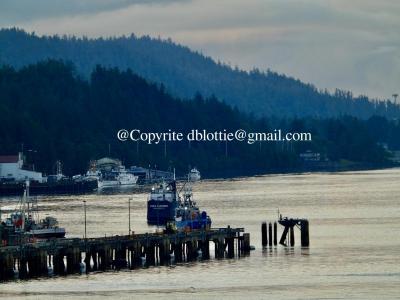 ww2024-08-23_11-42-17_754